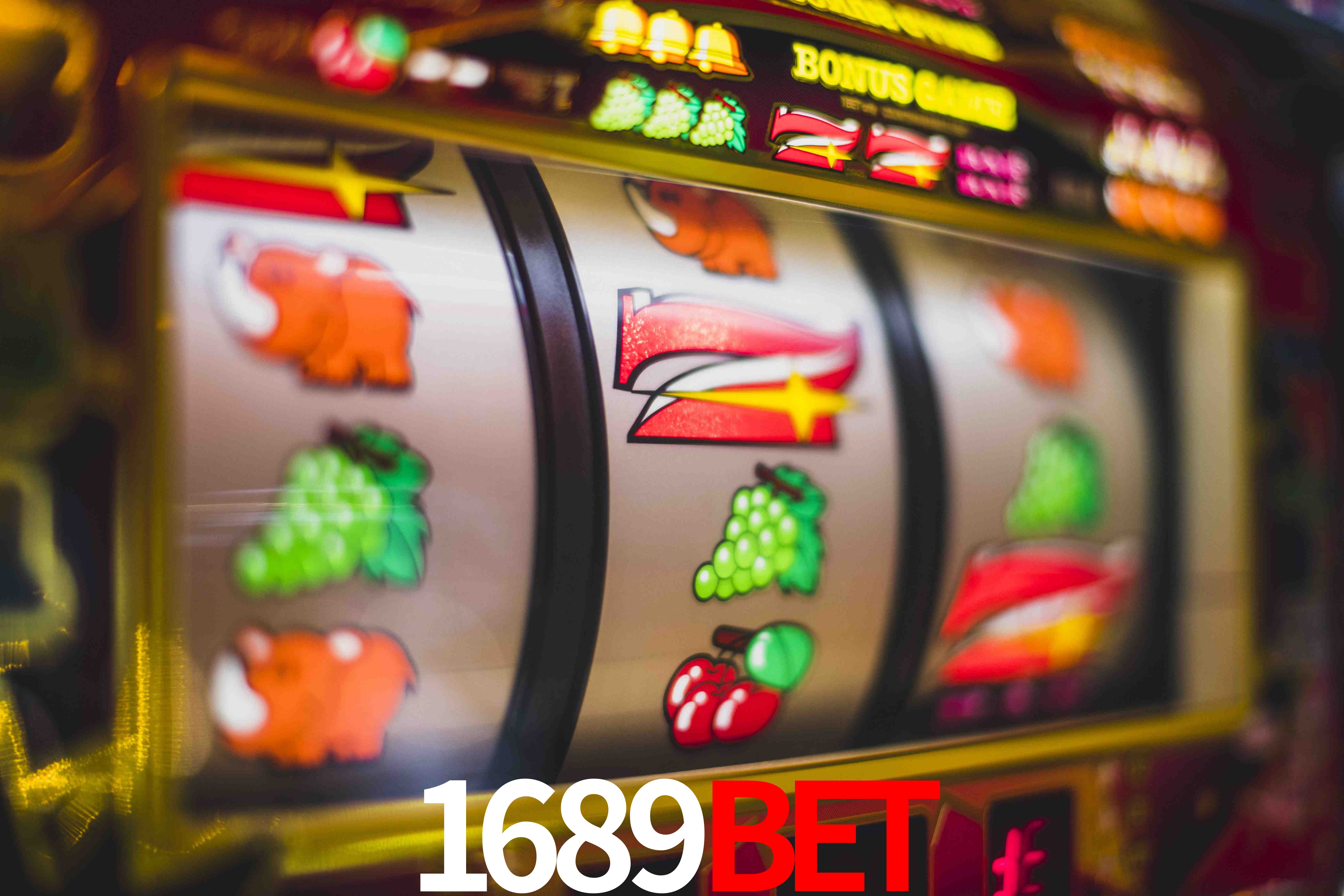 Experiência VIP 1689bet